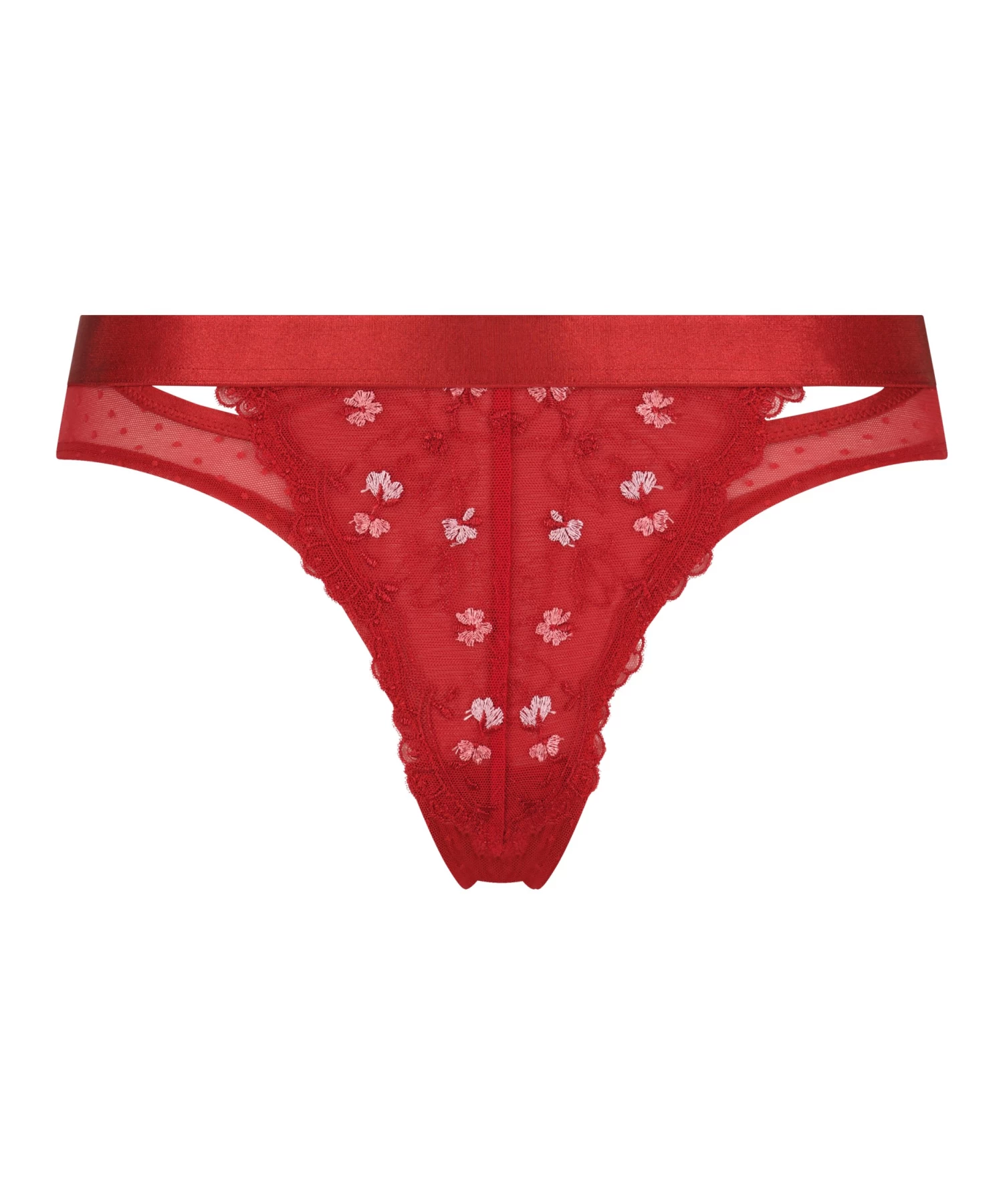 Brazilian Violet - Rood 6 Brazilian Violet - Rood - Afbeelding 4